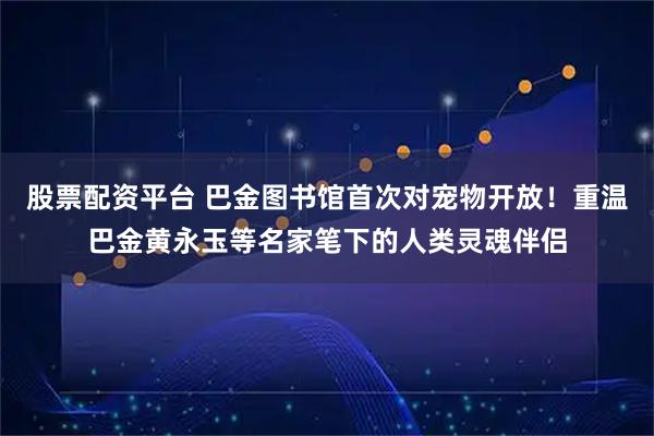 股票配资平台 巴金图书馆首次对宠物开放！重温巴金黄永玉等名家笔下的人类灵魂伴侣