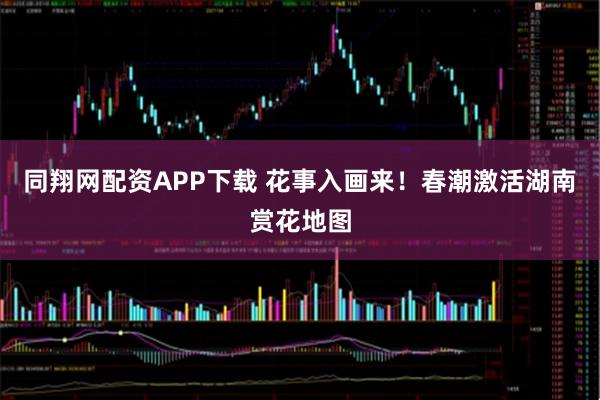 同翔网配资APP下载 花事入画来!春潮激活湖南赏花地图